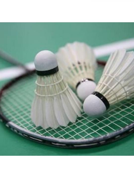 Conf. 3Pz Badminton